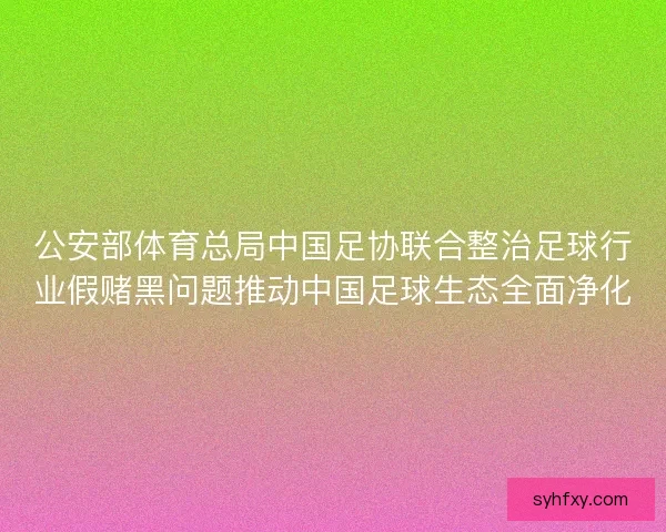公安部体育总局中国足协联合整治足球行业假赌黑问题推动中国足球生态全面净化