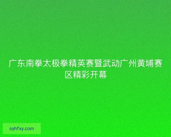 广东南拳太极拳精英赛暨武动广州黄埔赛区精彩开幕